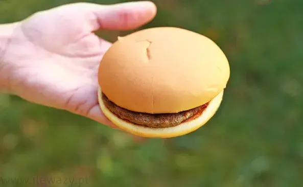 Ile kalorii ma burger? Sprawdź kaloryczność swoich ulubionych
